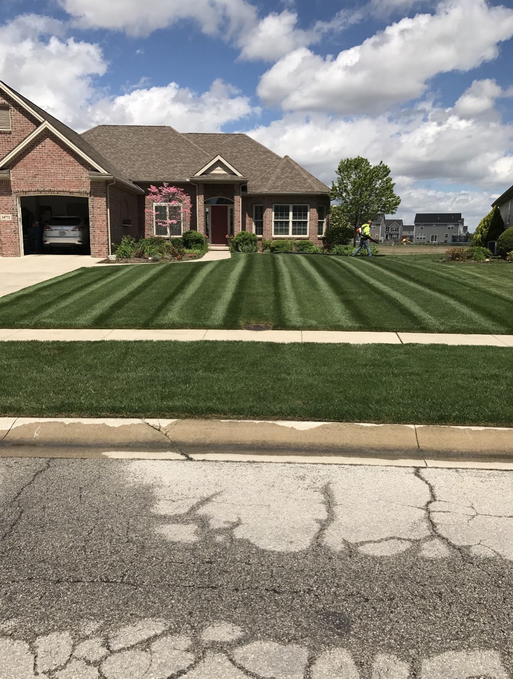 Striped front lawn on a brick ranch home